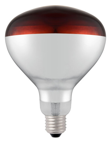 https://hendi.xcdn.nl/large/-/919217_shatterproof_bulb-red_02.jpg