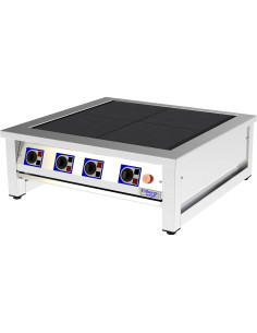 FSB4029