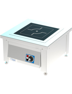 FSIB1029 Pro 2