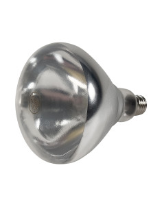 Glödlampa 2