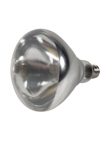 Glödlampa