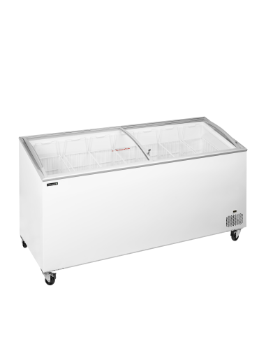 Glassfrys - IC551SCEB