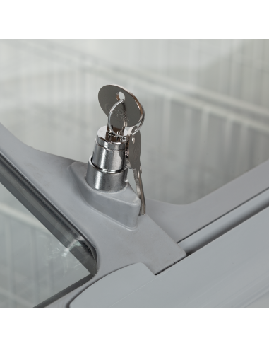 Glassfrys - NIC501SCEB