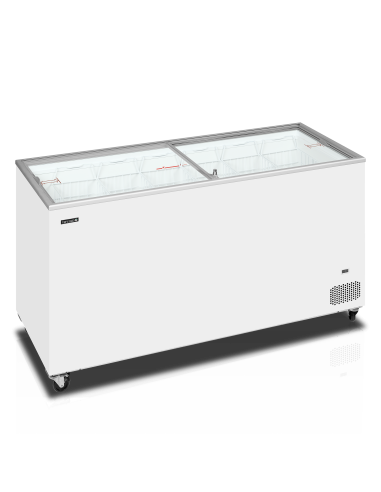 Glassfrys - IC501SC