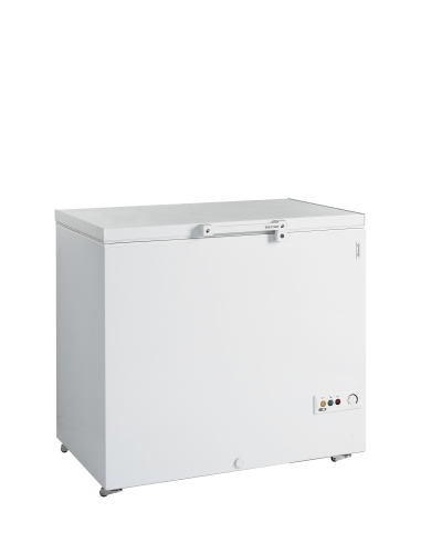 Glassfrys - FR305 SL