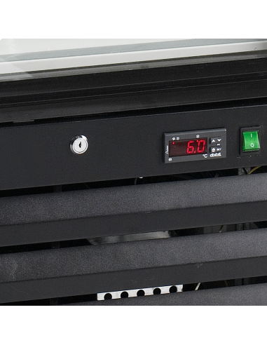 Displayfrysar - NF2500G