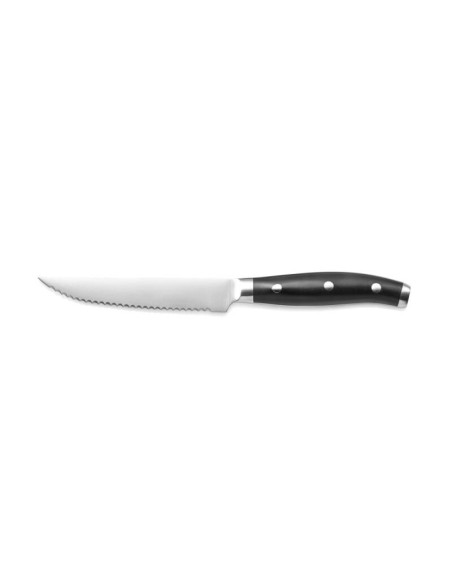 Grill/stekkniv nitad ABS handtag